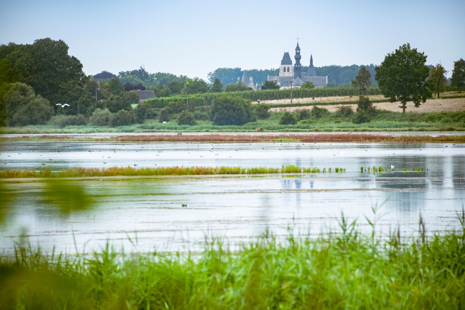 zicht op Vinnemeer en kerk van Zoutleeuw in Provinciedomein Het Vinne Zoutleeuw