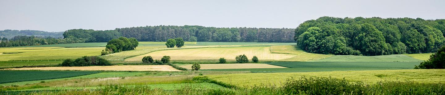 Landschap in Boutersem - provincie Vlaams-Brabant 