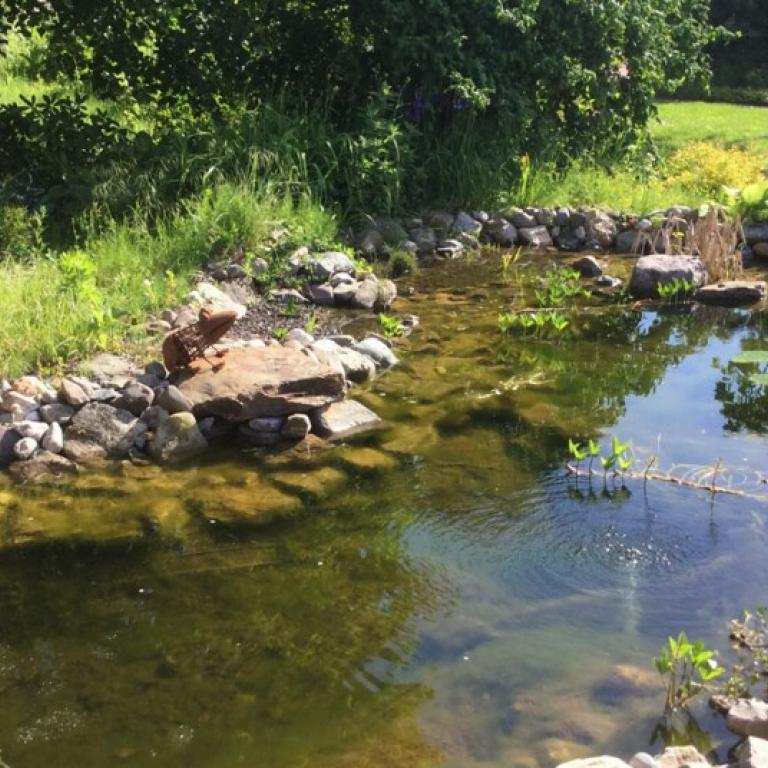 Biodiversiteit in de ecologische tuin water, poelen en wadi's online